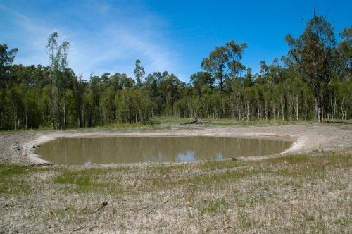 Boolambayte NSW 2423, Image 1