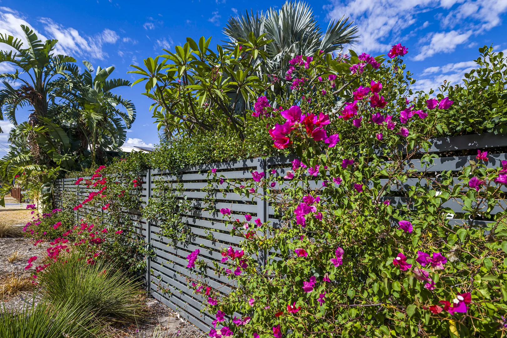 Additional image 9 of 1/10 Oriana Street, Belmont WA 6104