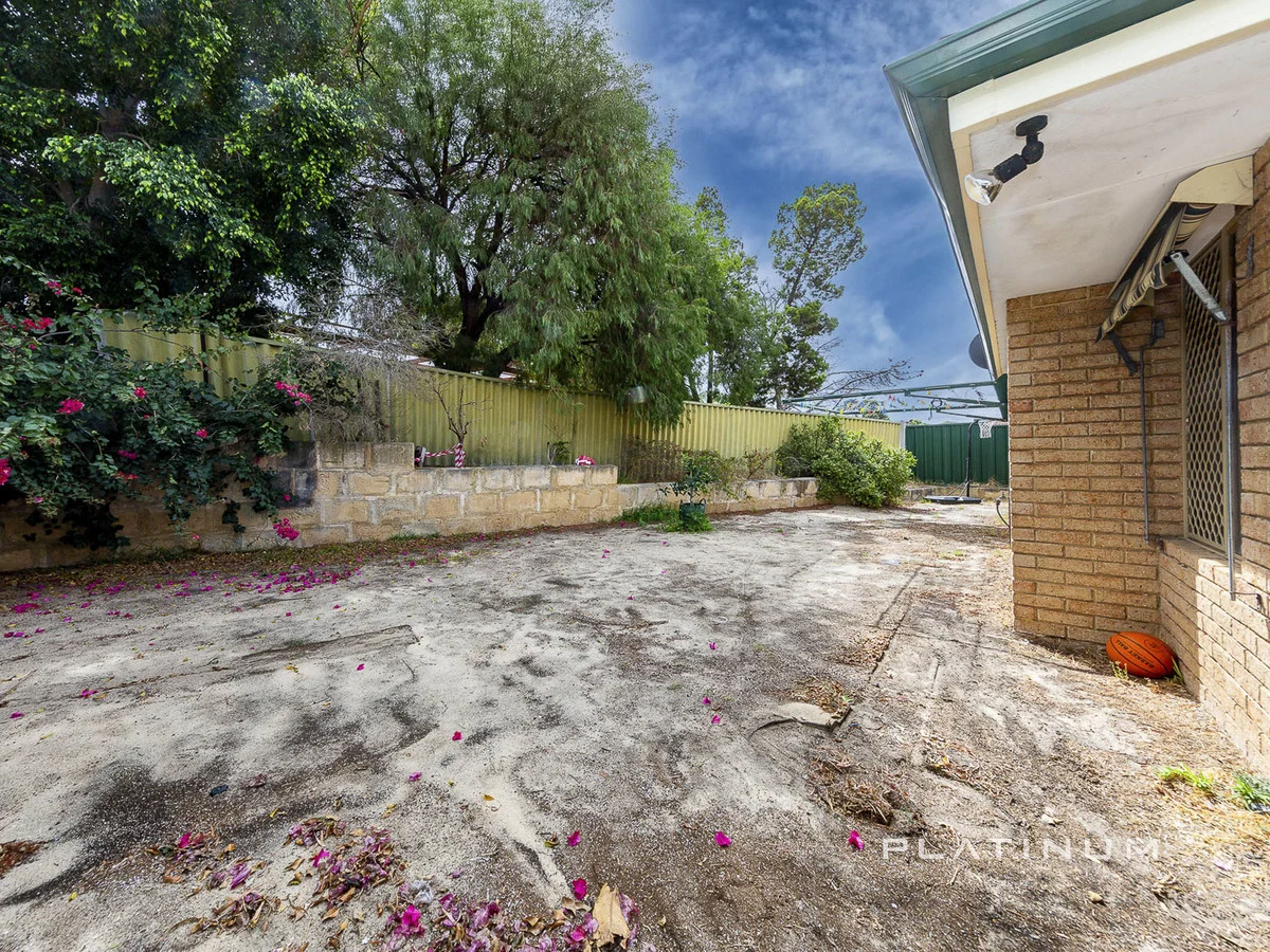 Image 25