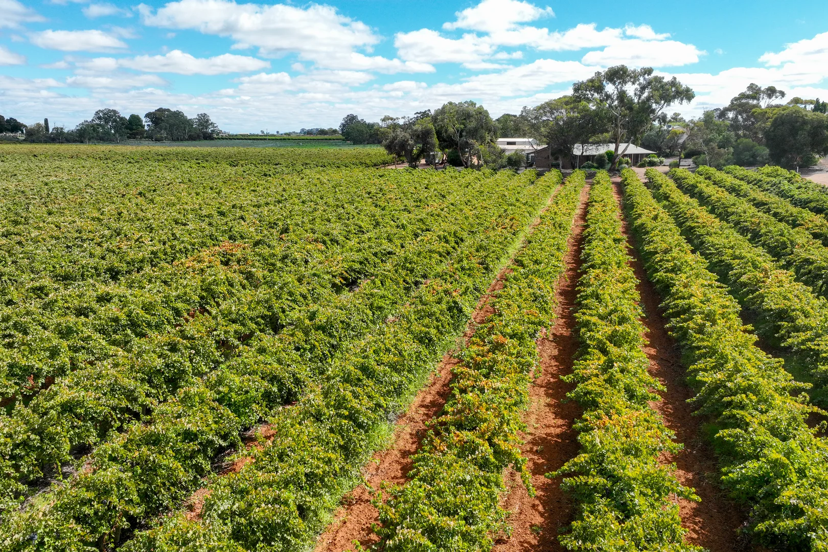 Additional image 35 of 129 Evans Road, Barmera SA 5345