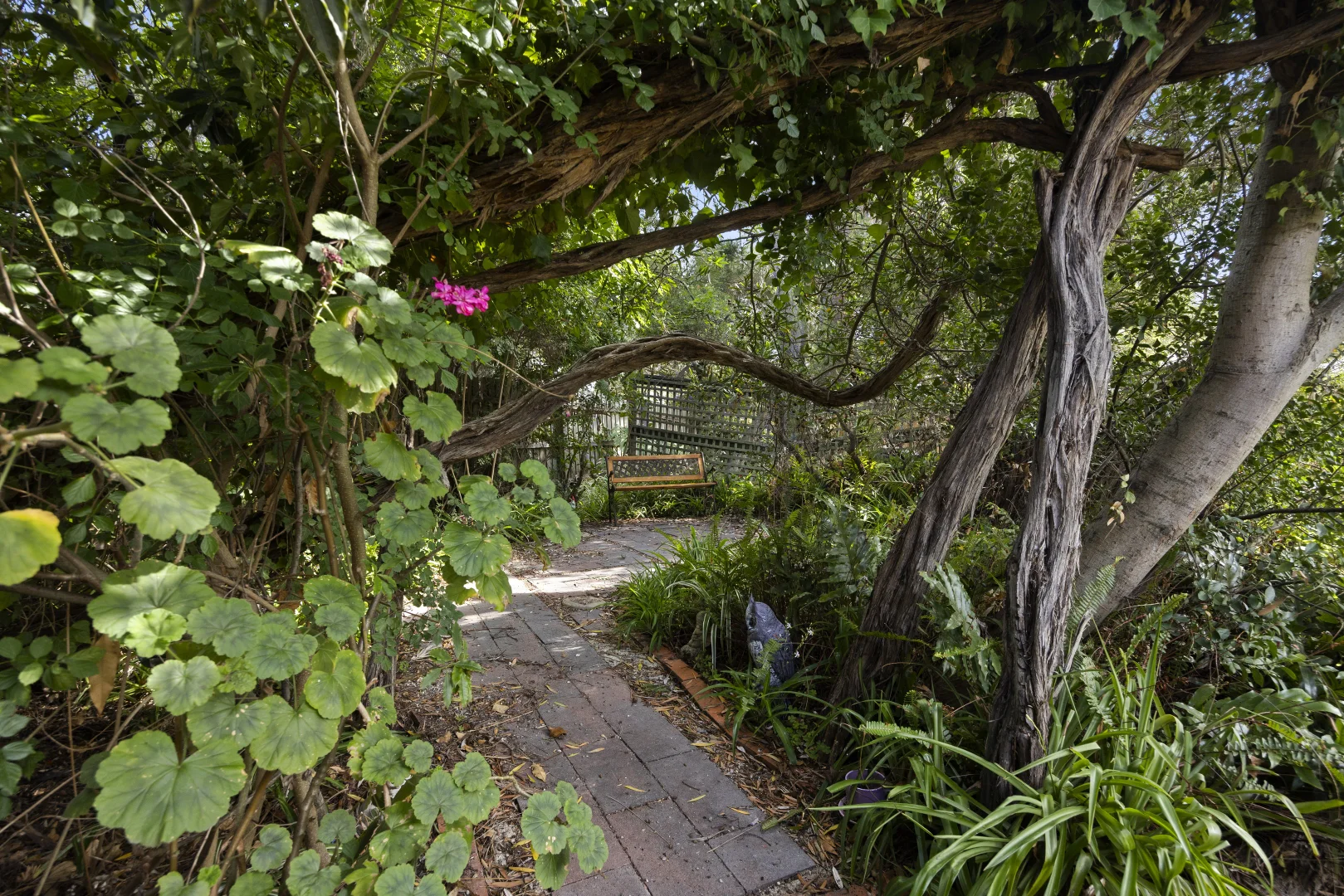 Additional image 17 of 36 Melville Street, Tootgarook VIC 3941