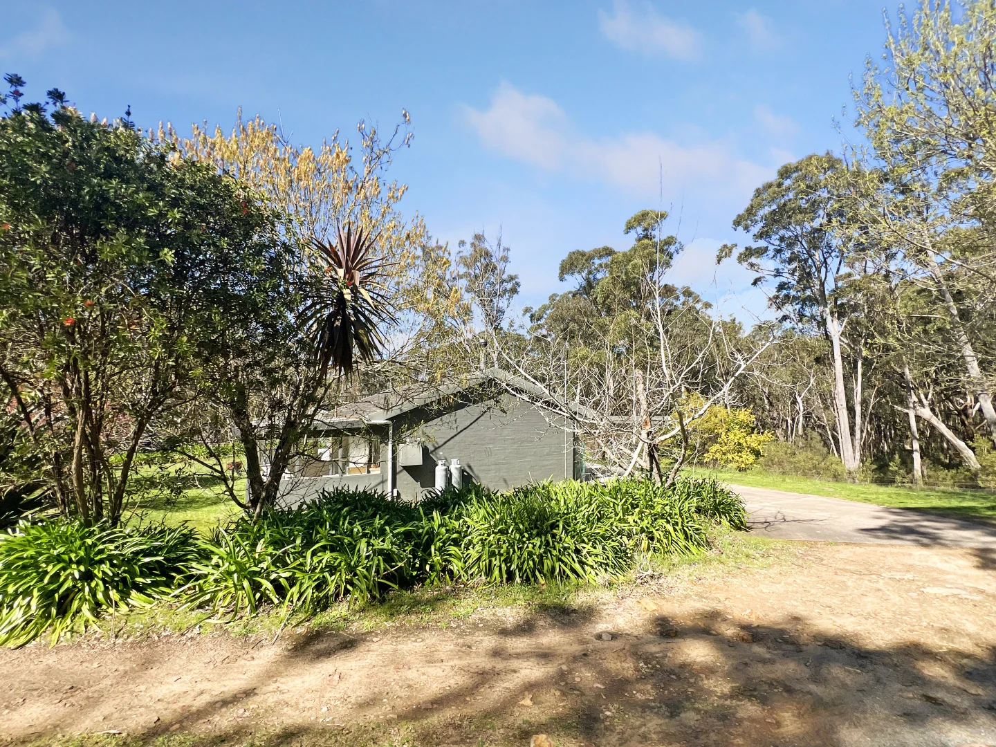 Image 11