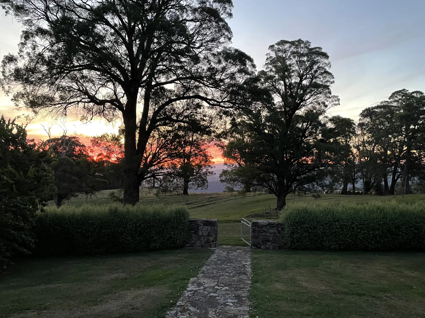 Image 11
