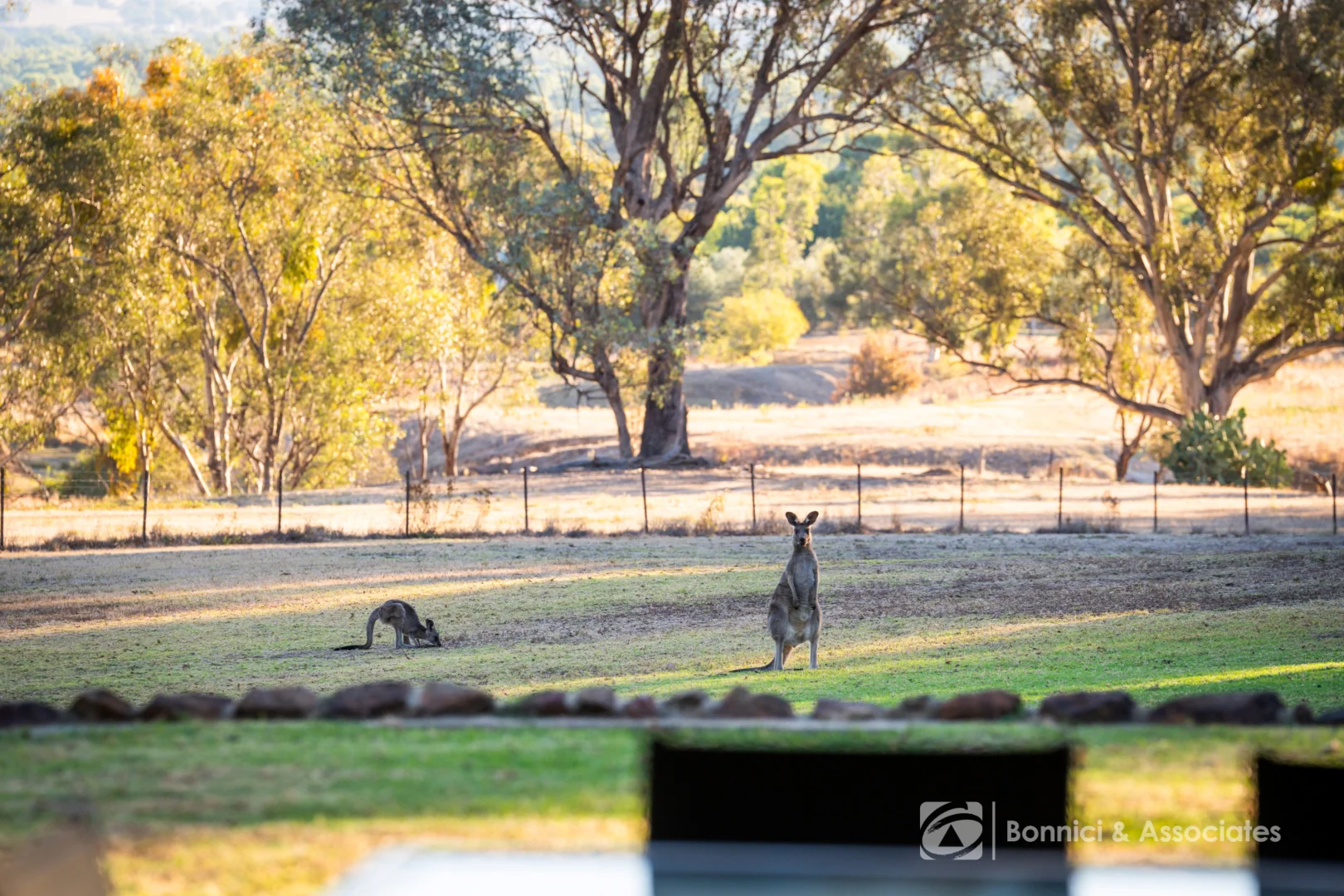 Additional image 25 of 187 Bretton Road, Splitters Creek NSW 2640