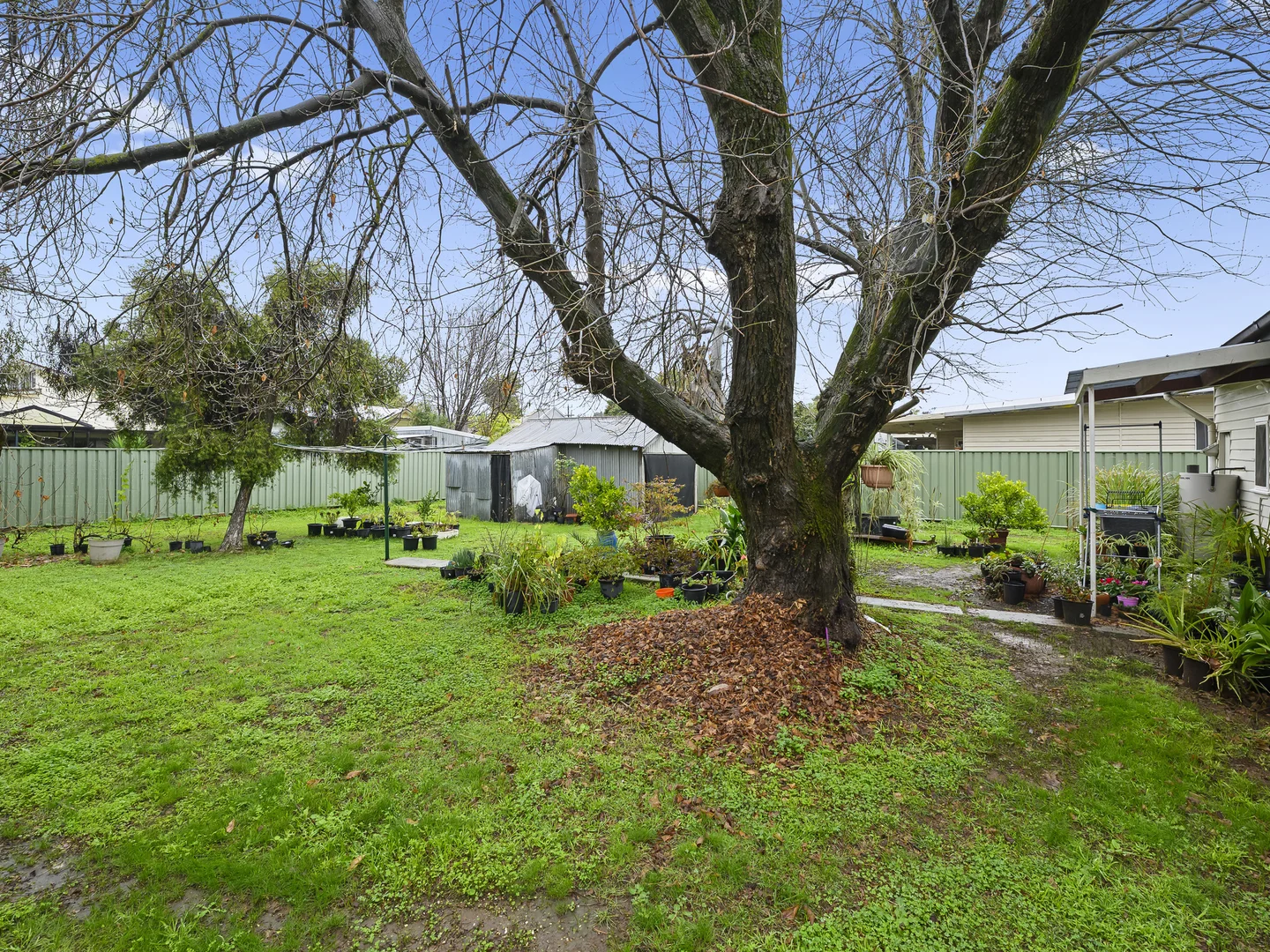 Image 12