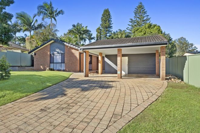 Picture of 29 Dugandan Street, NERANG QLD 4211