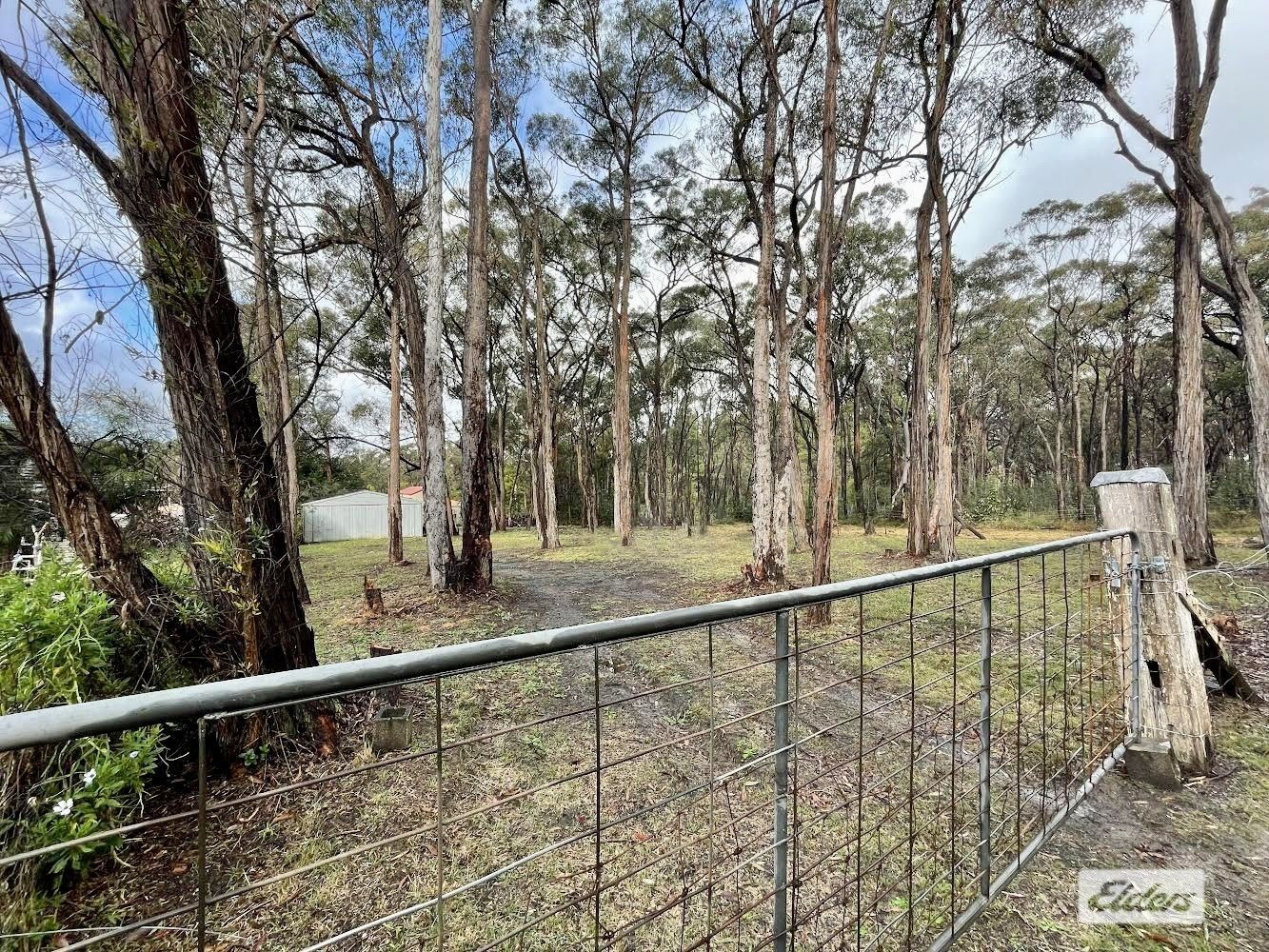 123 Colo Street, Couridjah NSW 2571 Domain