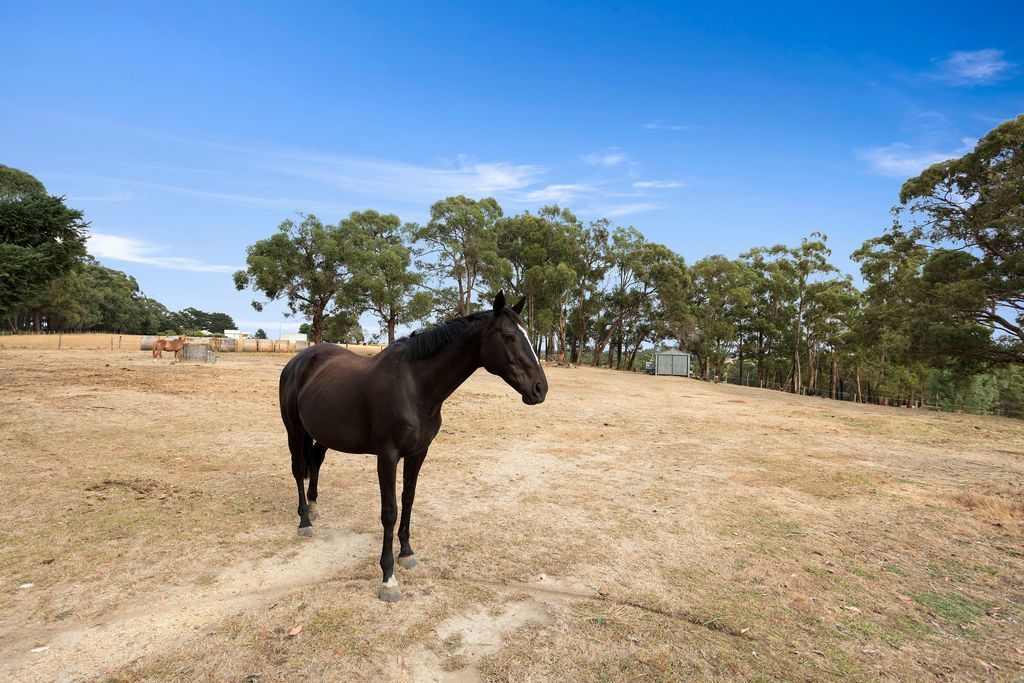 40 Hoveys Road, Barongarook West VIC 3249, Image 2