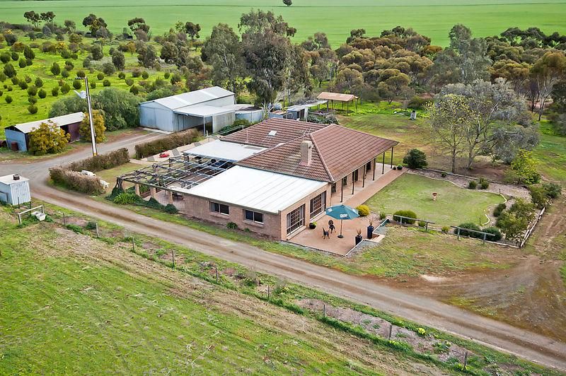 75 Bache Road, REEVES PLAINS SA 5502, Image 2