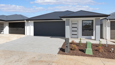 Picture of 50 Maiolo Crescent, BLAKEVIEW SA 5114