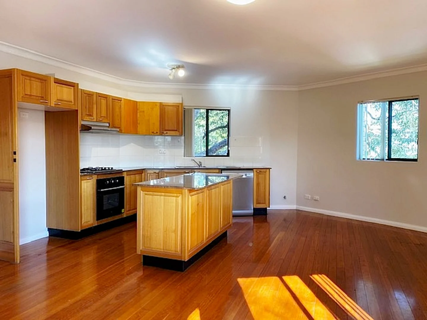 Additional image 4 of 3/33 Elizabeth Street, Ashfield NSW 2131