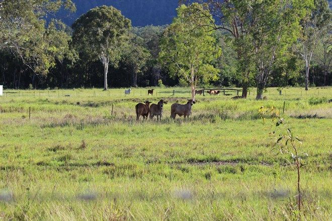 Picture of 127 Platts Road, CARMILA QLD 4739