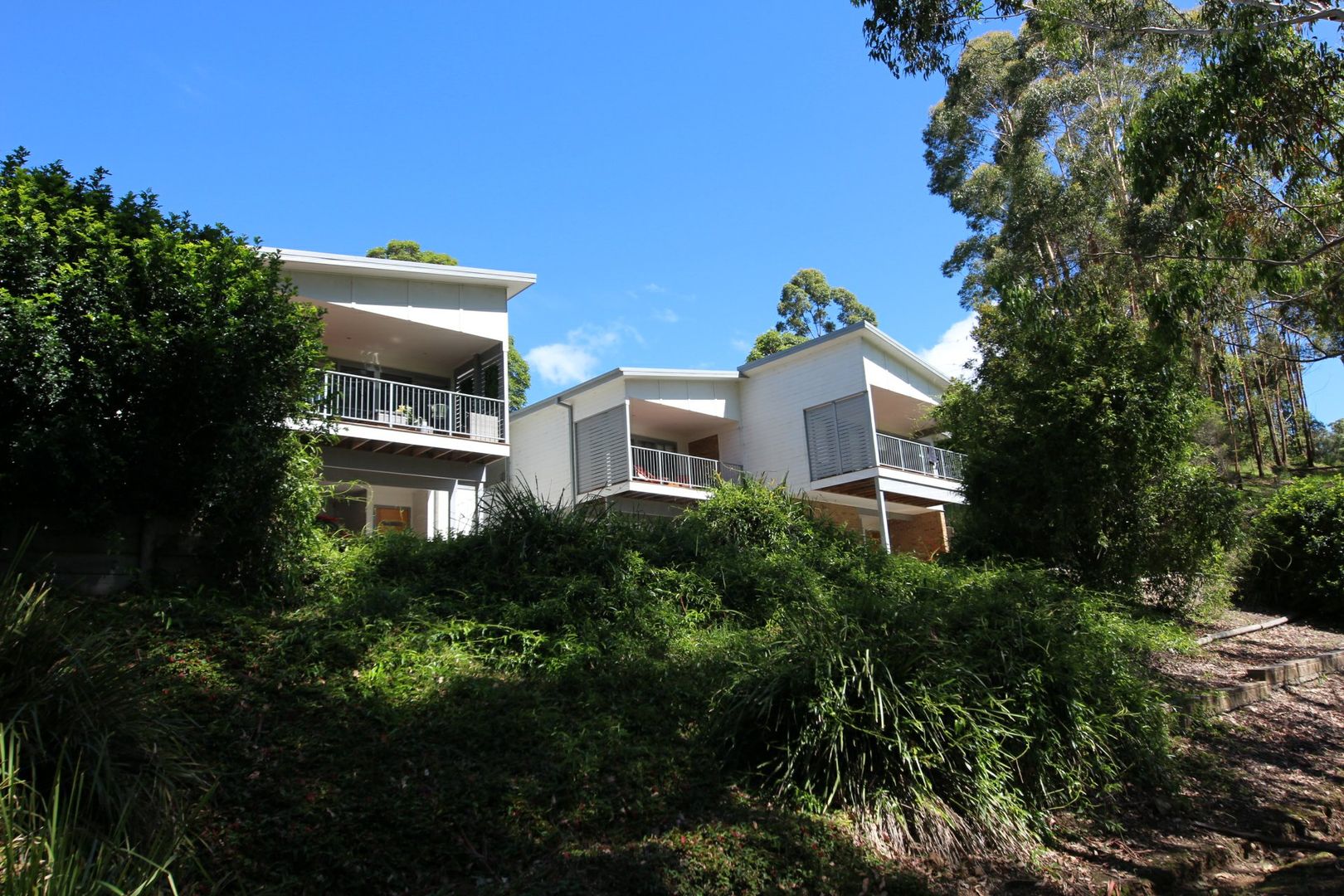 51 Hilltop Parkway, Tallwoods Village NSW 2430, Image 1