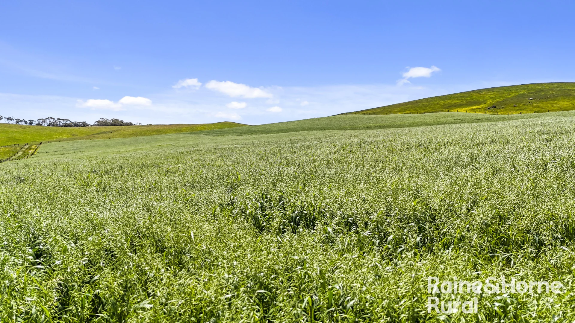 Additional image 11 of 433 James Track, Inman Valley SA 5211
