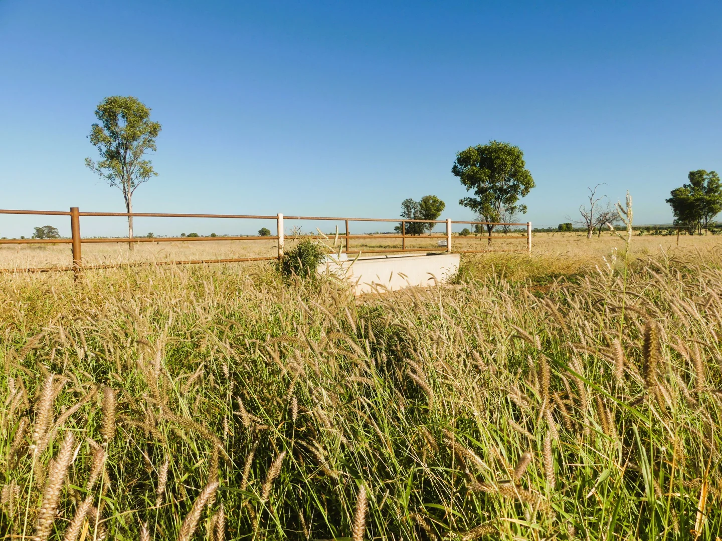 Additional image 2 of 'Edenhope' 615 Barracks Road, Roma QLD 4455