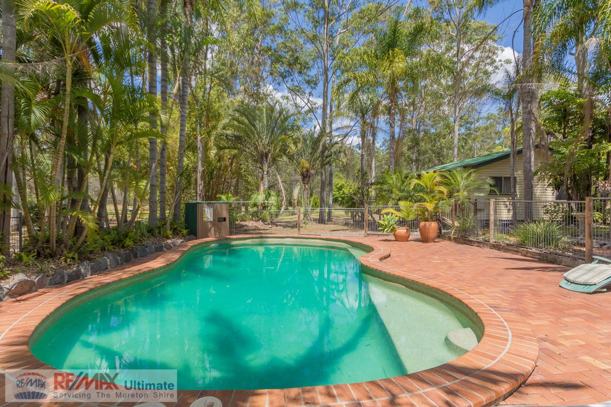 28 Elm Court, Morayfield QLD 4506, Image 0