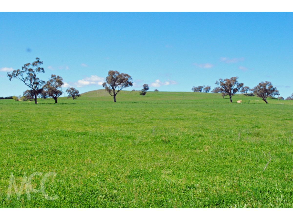 Lot 1 & 4 Mouse Hole Lane, Boree NSW 2800, Image 0