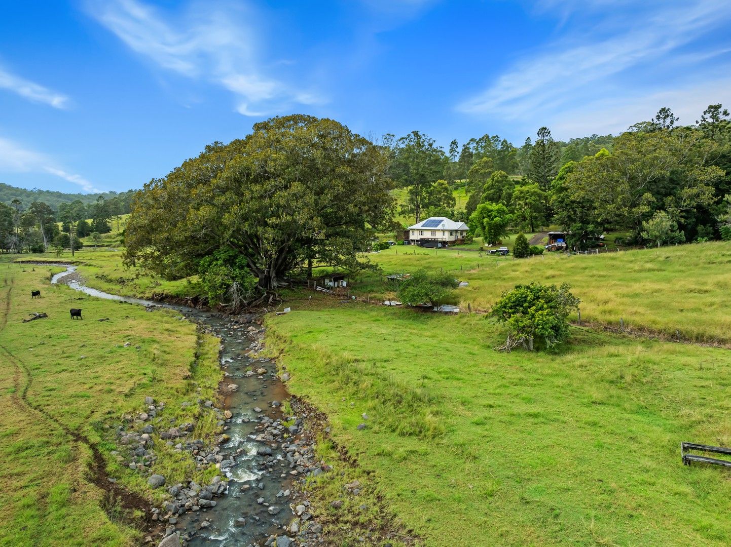 1152 Theresa Creek road, Theresa Creek NSW 2469, Image 0