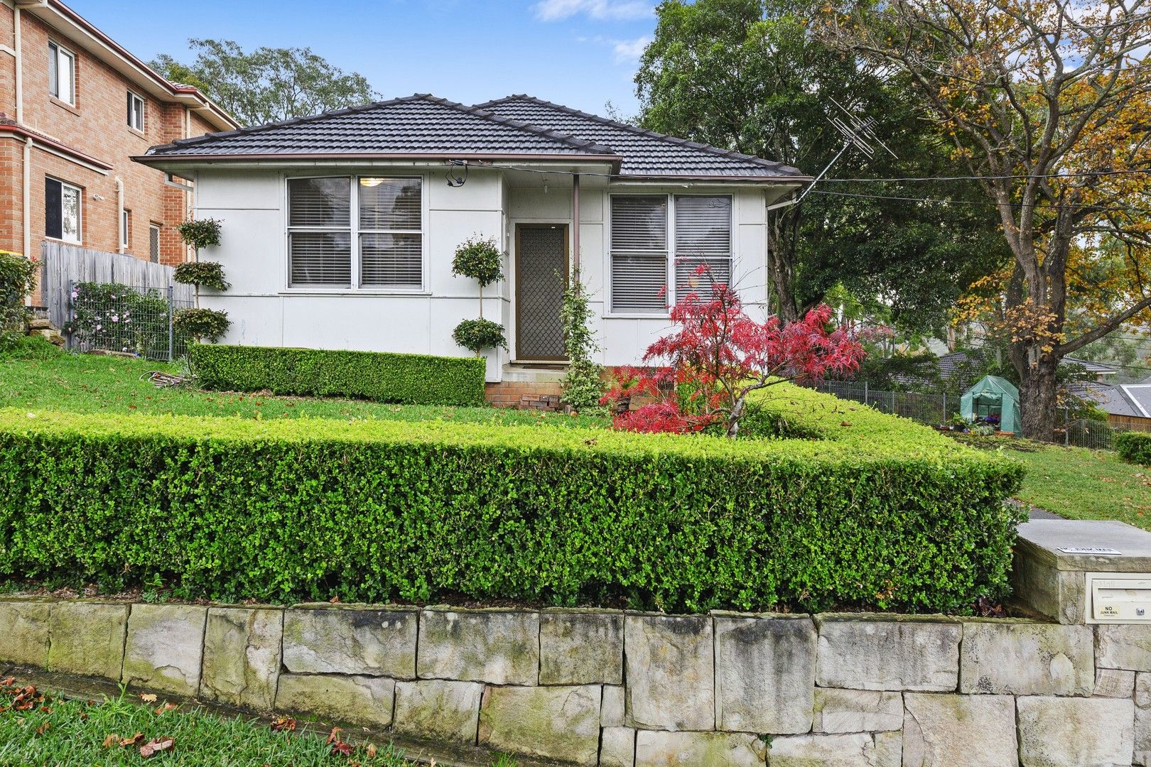 43 Westwood Street, Pennant Hills NSW 2120 House For Rent 700 Domain