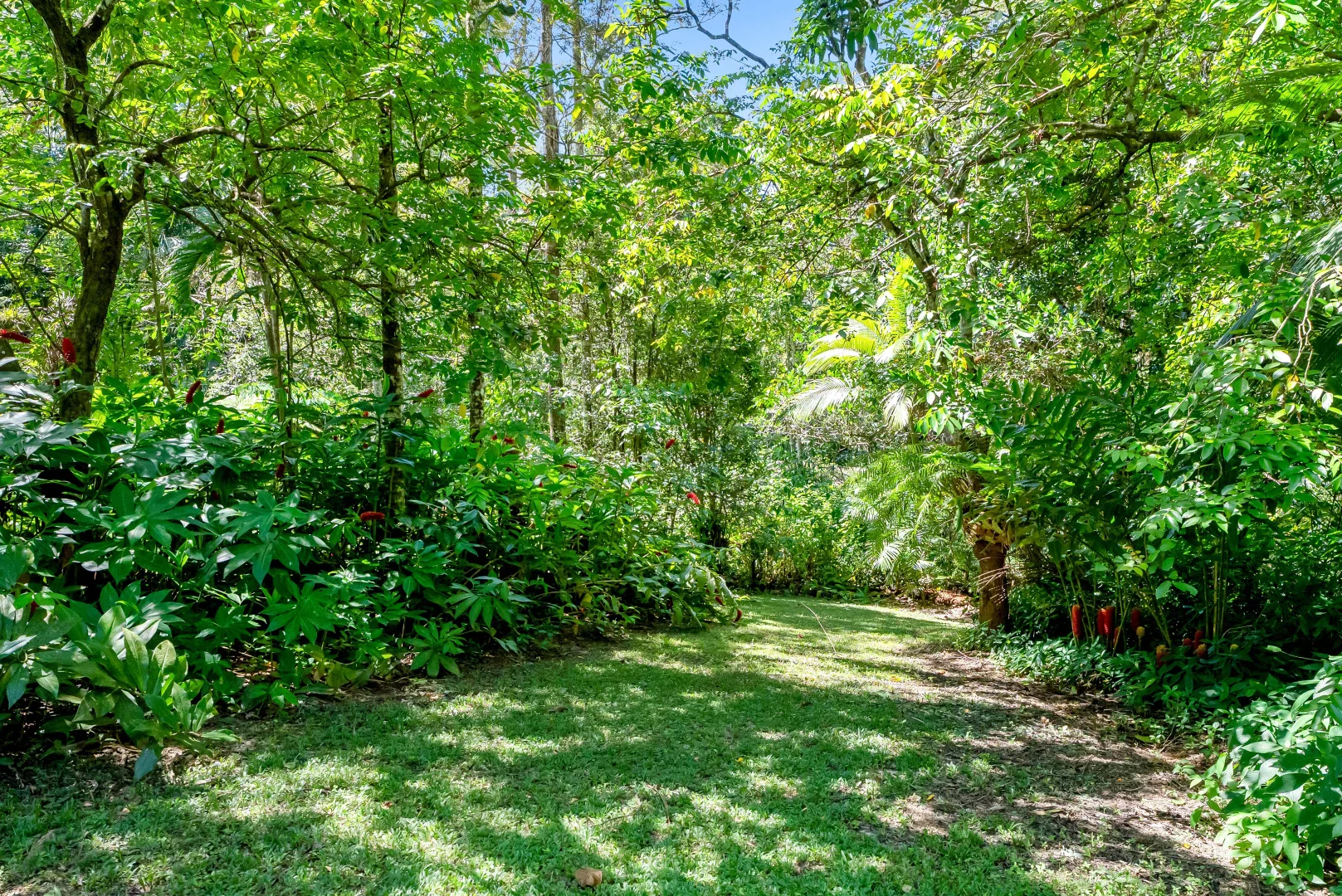 Additional image 18 of 27 Warril Drive, Kuranda QLD 4881