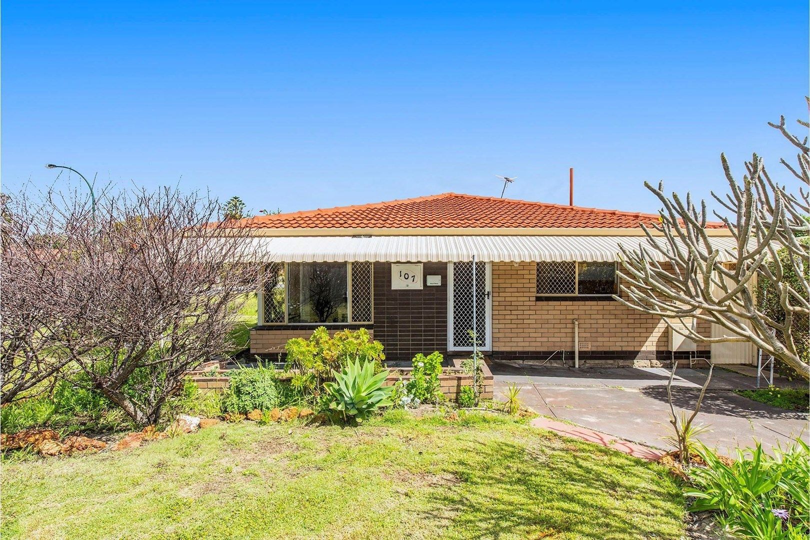 107 Riseley Street, Ardross WA 6153, Image 0