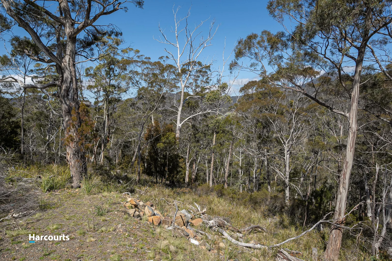 Image 13
