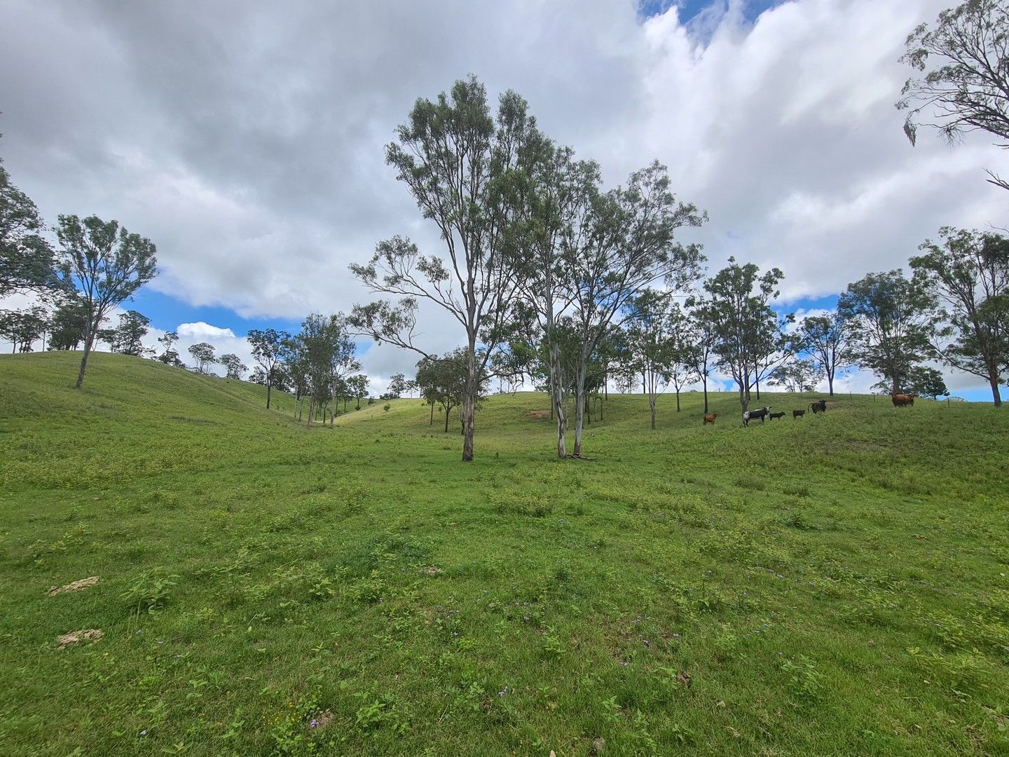 L164 Voll Road, Emu Creek QLD 4355, Image 0