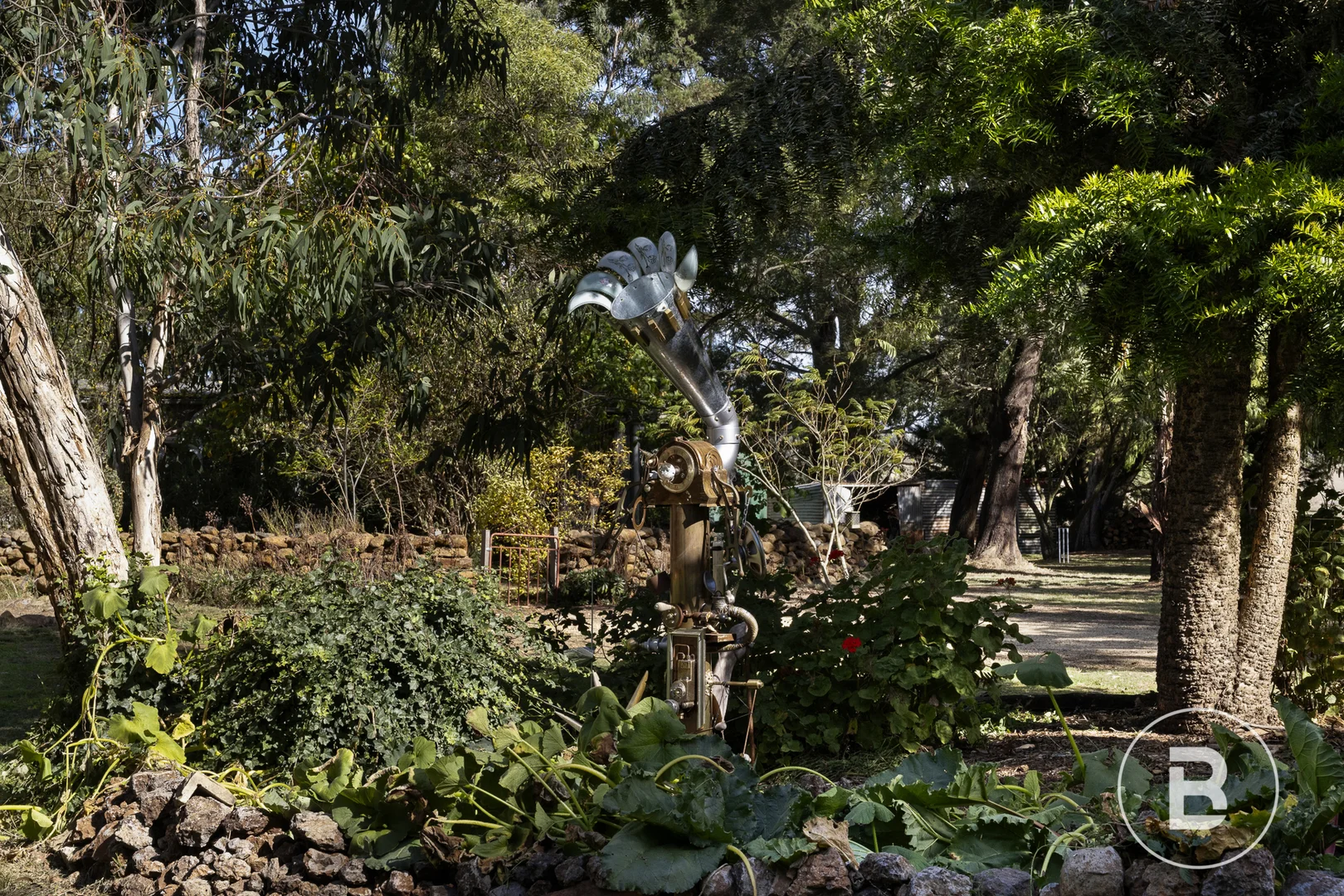 Image 14
