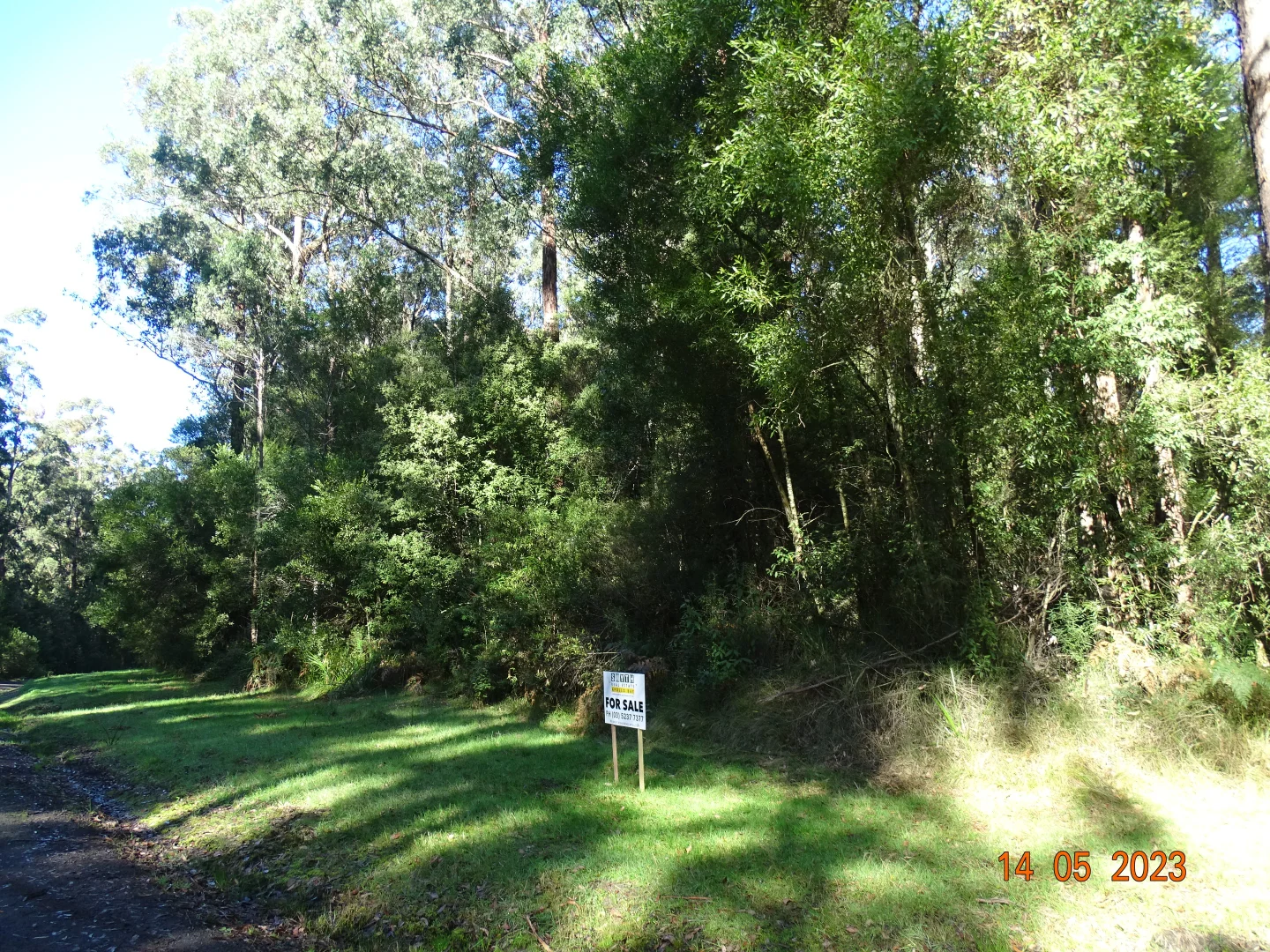 Image 15