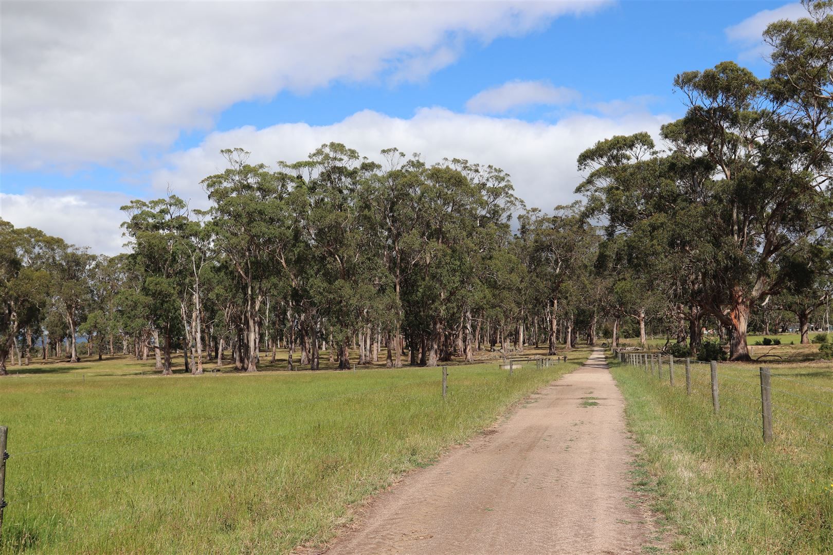 Lot 1 / 315 Tarra Valley Road, Devon North VIC 3971, Image 2