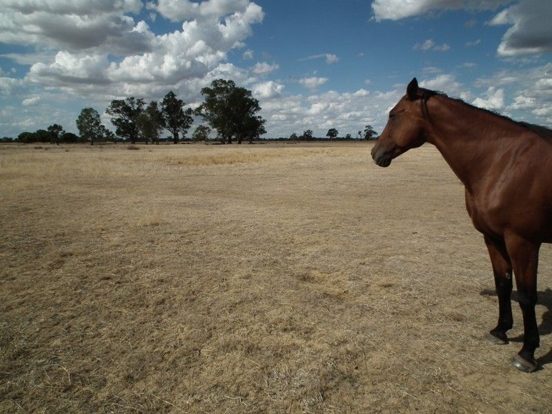 56 Wormangal Wahring Road, Wahring VIC 3608, Image 2