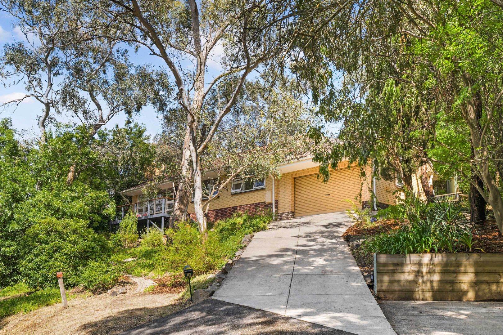 15 Oak Crescent, Hawthorndene SA 5051 Domain