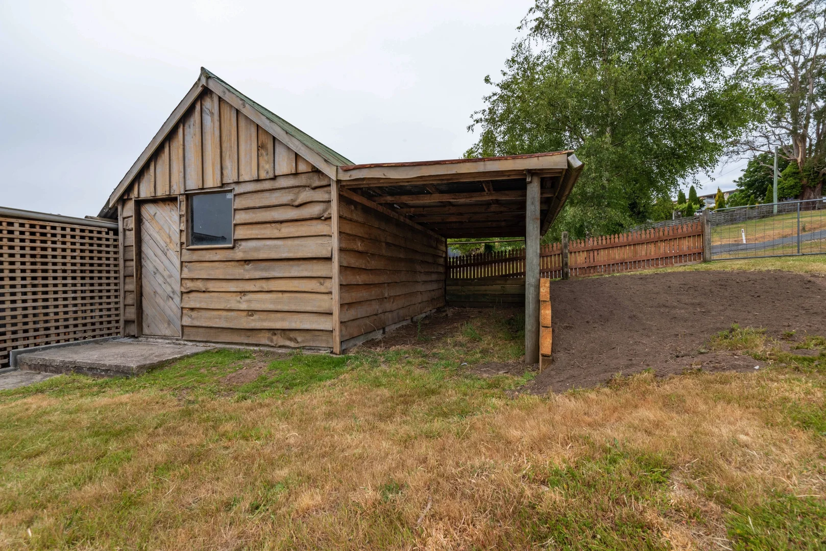 Image 20