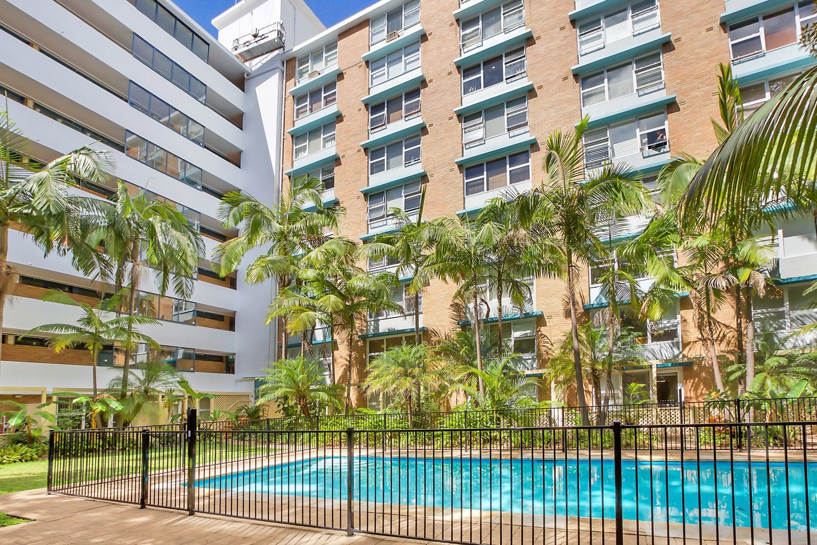 1 bedrooms Apartment / Unit / Flat in 31/1 McDonald Street POTTS POINT NSW, 2011