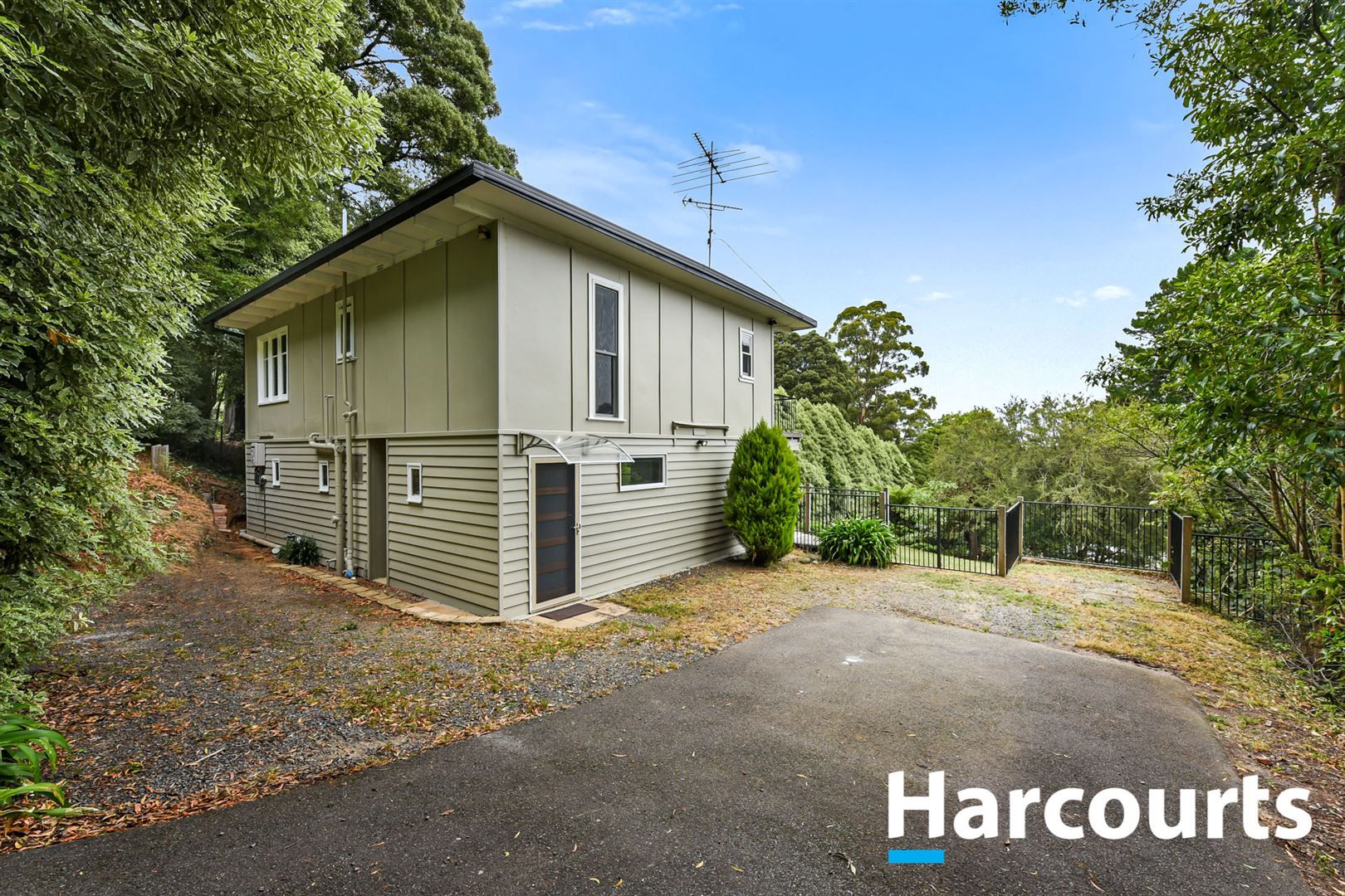 5 Driffield Crescent, Sassafras VIC 3787 Domain