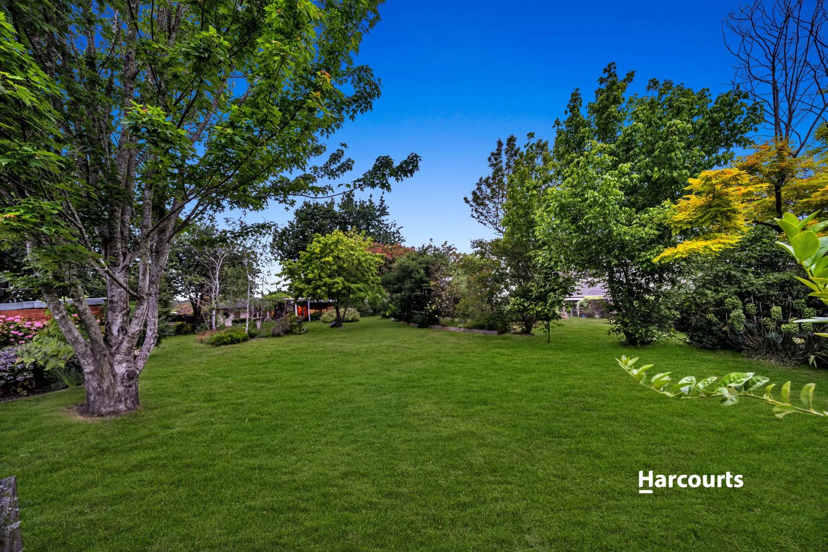 Additional image 21 of 53 Peterson Road, Officer VIC 3809