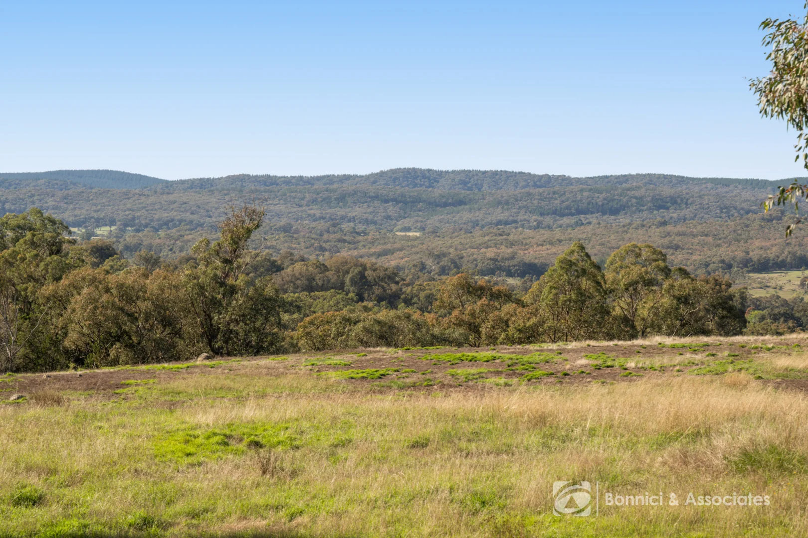 Additional image 40 of 482 Beechworth- Chiltern Road, Beechworth VIC 3747