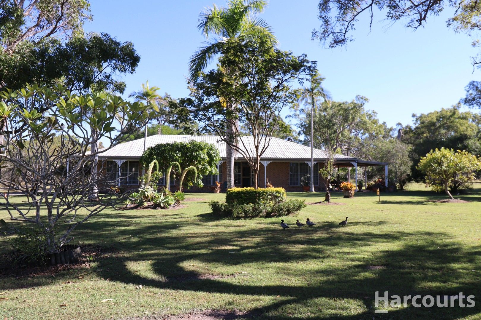 155 Pacific Haven Circuit Pacific Haven QLD 4659 Domain
