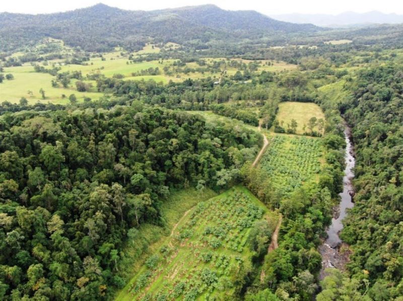 73 Brodies Road, Mount Charlton QLD 4741 House for Sale Domain