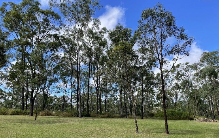 Lot 28 Thompson Road, Runnymede QLD 4615, Image 1