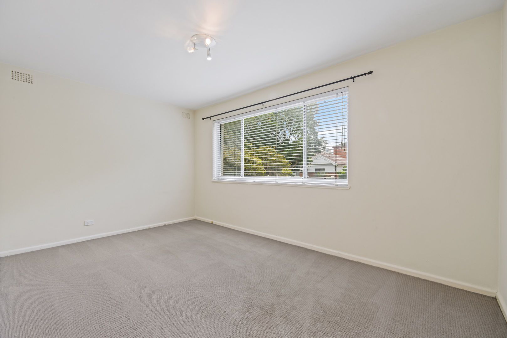 2/38 Waratah Avenue, Randwick NSW 2031 Apartment For Rent Domain