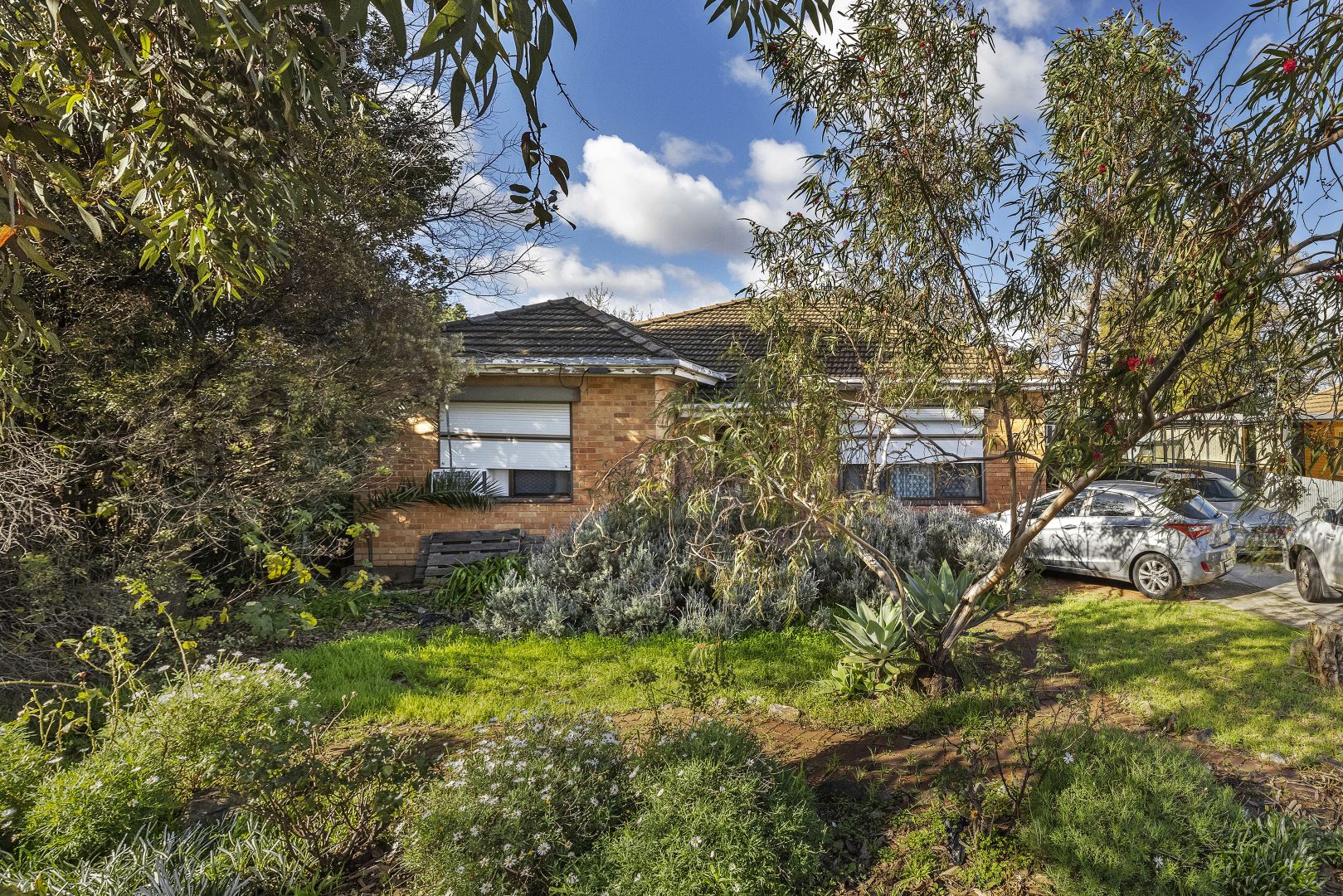 24 High Avenue, Clearview SA 5085, Image 1