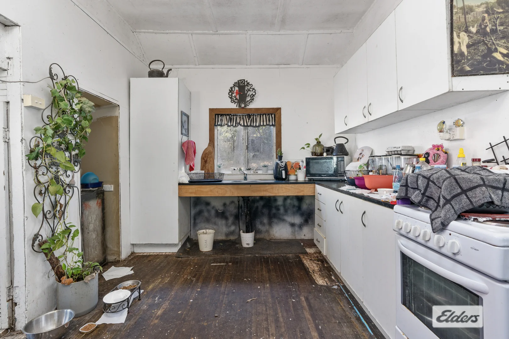 Image 11
