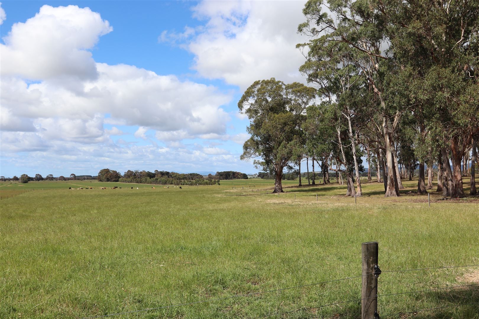 Lot 1 / 315 Tarra Valley Road, Devon North VIC 3971, Image 0