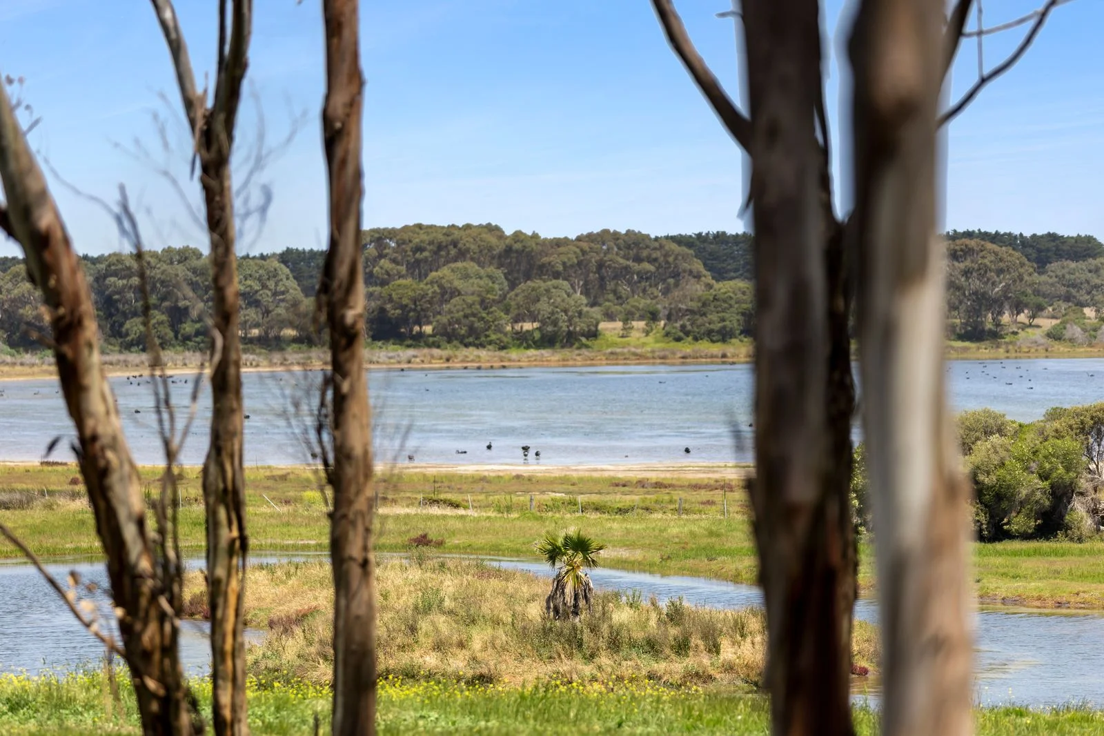 Additional image 21 of 152-170 Creswell Road, Marcus Hill VIC 3222