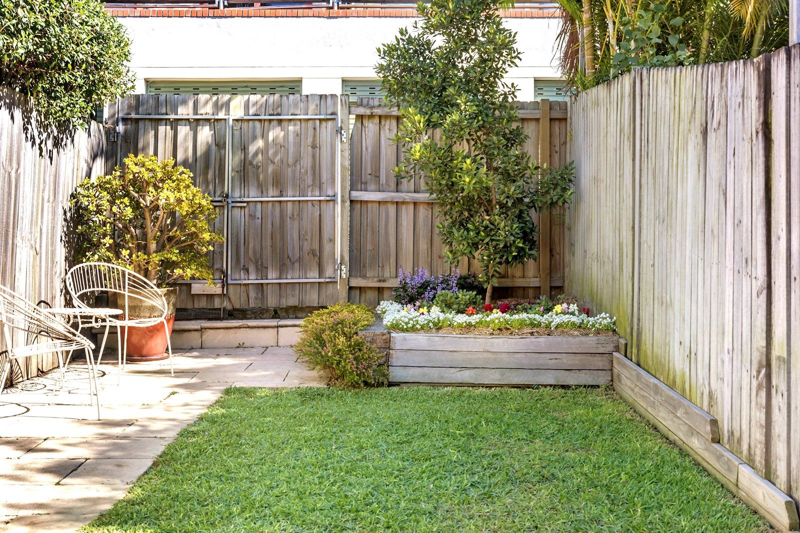 66 Foucart Street, Rozelle NSW 2039, Image 2