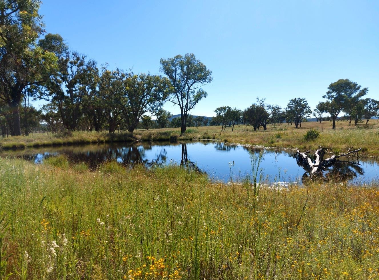 Lot 64 Retreat Road, Uralla NSW 2358 House for Sale 650,000