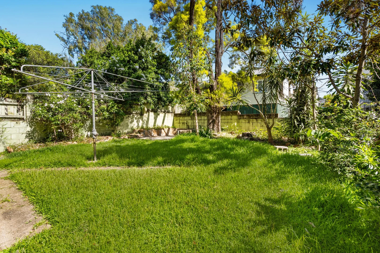 Image 8