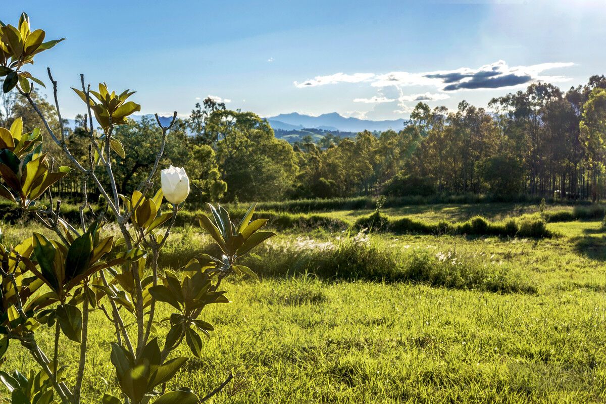 Lot 2 Blumberg Street, Boonah QLD 4310, Image 1