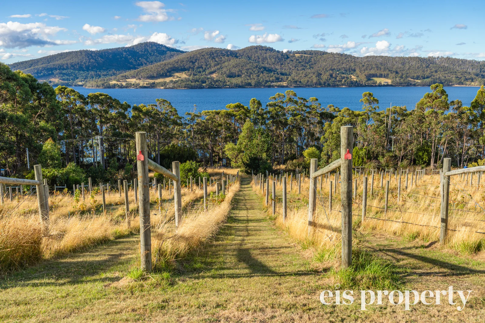 Additional image 31 of 300 Esperance Coast Road, Brooks Bay TAS 7116